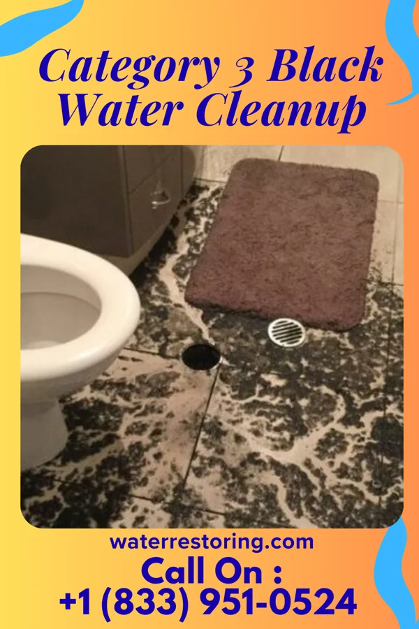 Category 3 Black Water Cleanup in Parker's Crossroads, TN