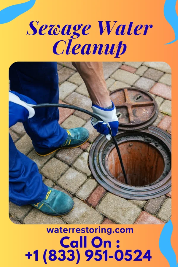 Sewage Water Cleanup in Parker's Crossroads, TN