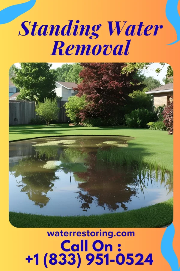 Standing Water Removal in Parker's Crossroads, TN